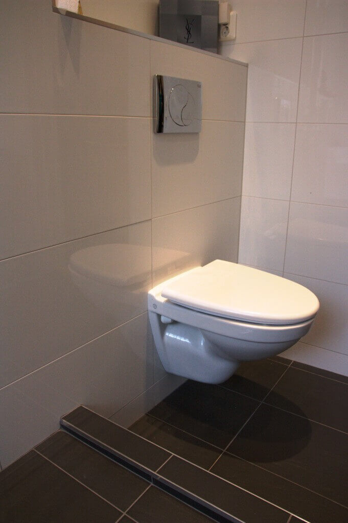 Portfolio photo of toilet and flush buttons